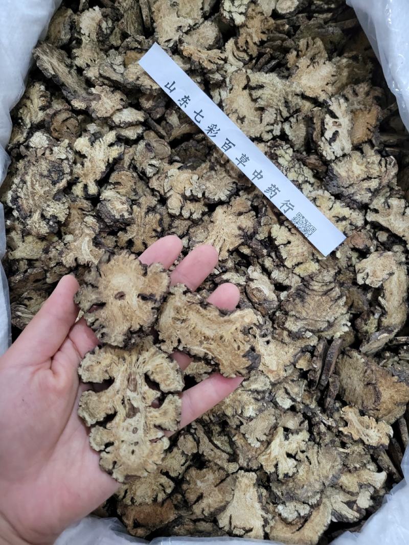 川芎山东七彩百草中药材批发多种规格产地供应