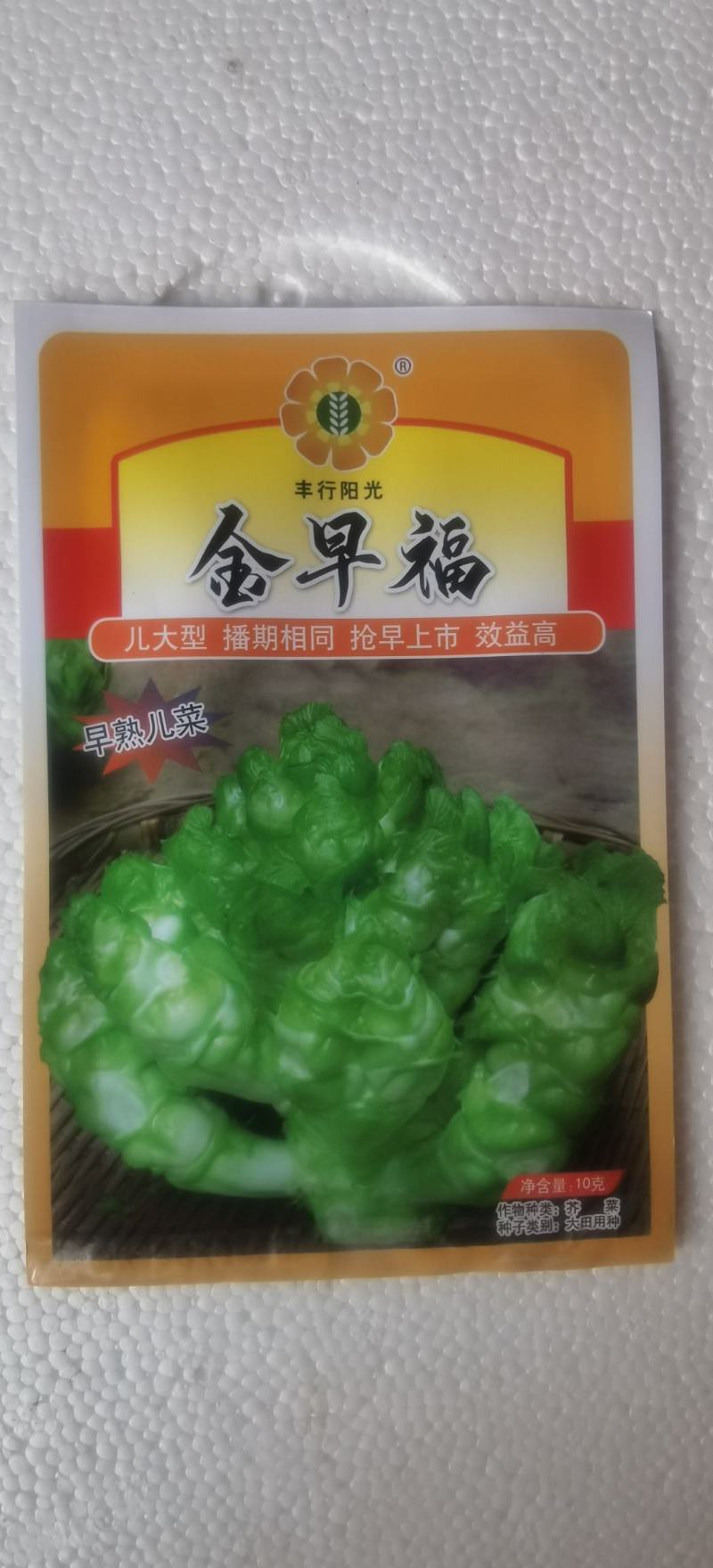 儿菜种子金早福方正早熟儿菜大儿型提早上市效益高