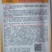 儿菜种子金早福方正早熟儿菜大儿型提早上市效益高