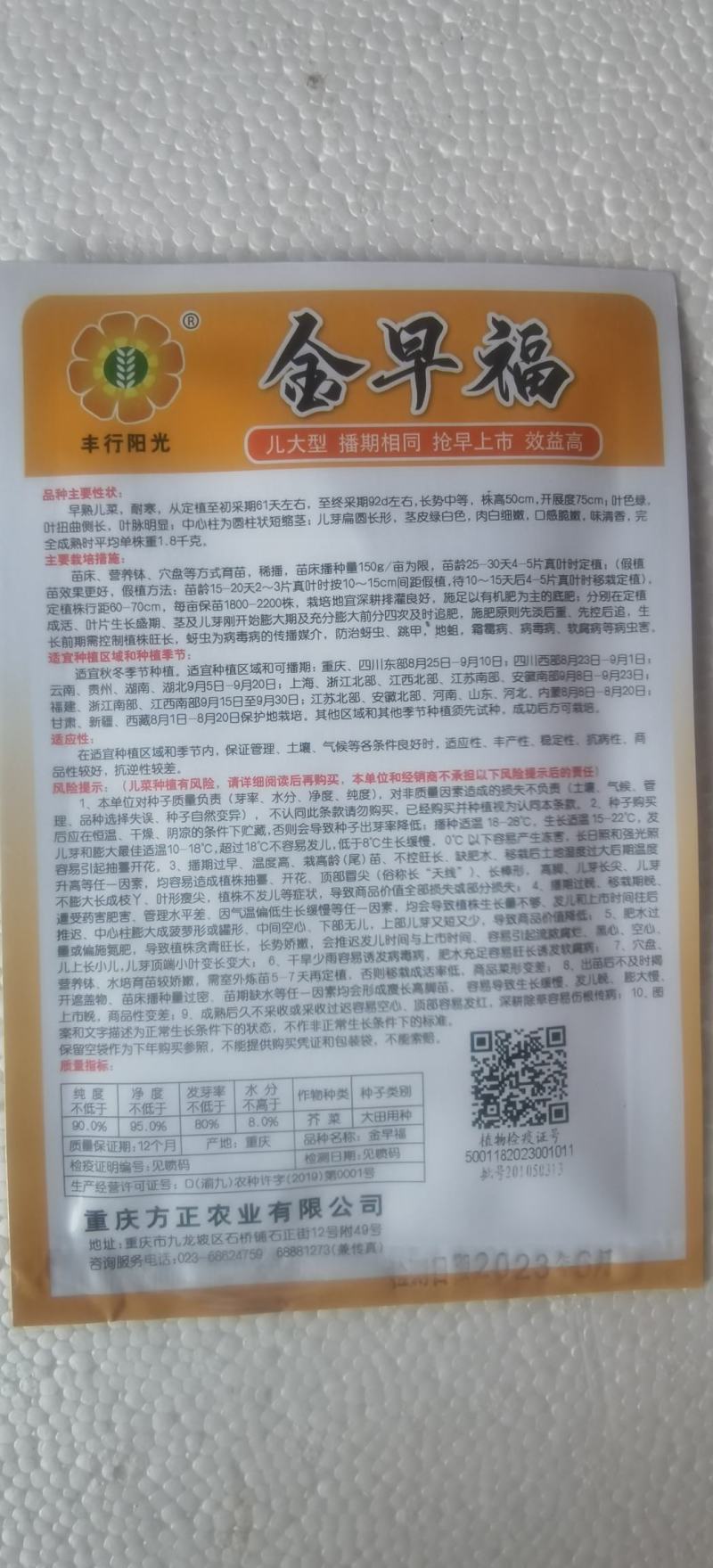 儿菜种子金早福方正早熟儿菜大儿型提早上市效益高