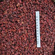 山茱萸山萸肉产地货源大货供应多种规格七彩中药材