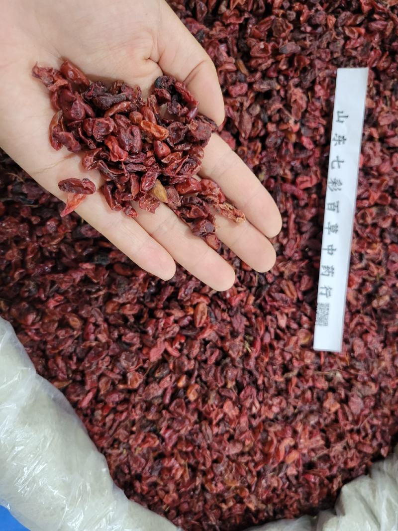 山茱萸山萸肉产地货源大货供应多种规格七彩中药材