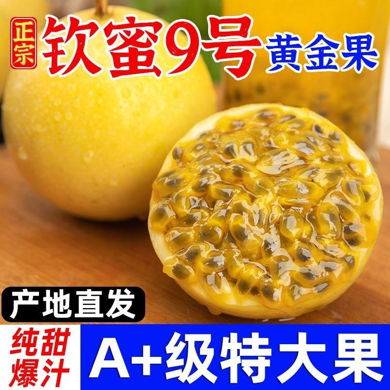 百色靖西市正宗钦密九号，