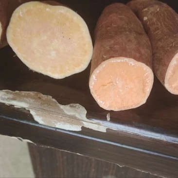 《精选》湖北龙九养殖薯，电商工厂货，大甩卖毛毛一斤
