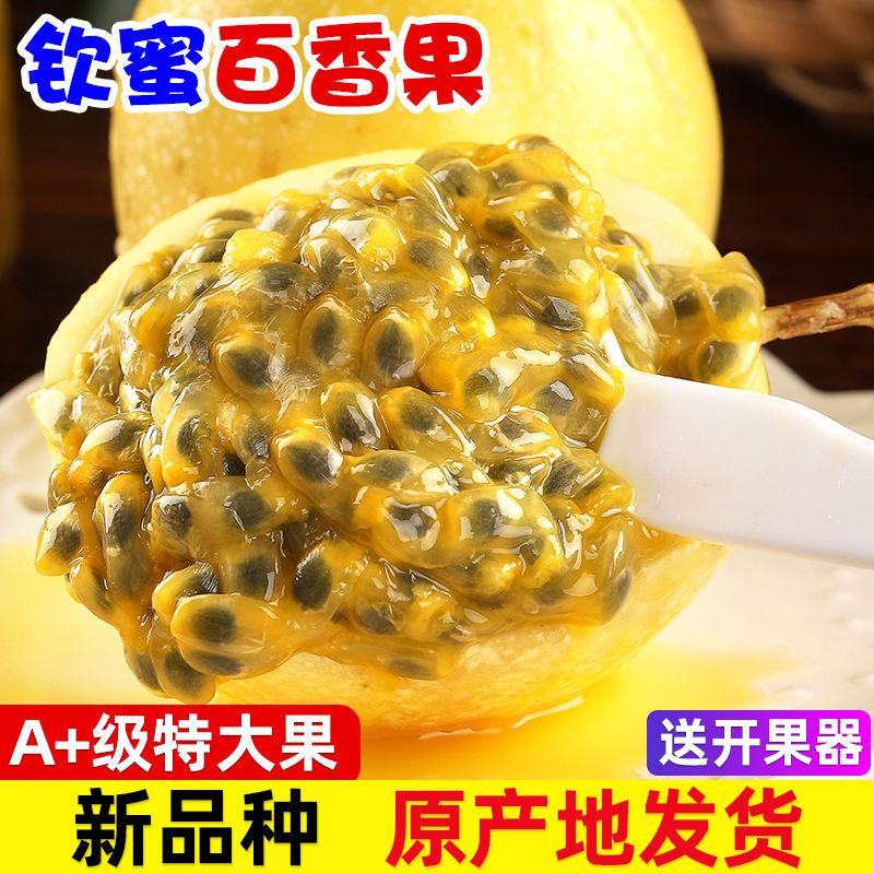 百色靖西市正宗钦密九号，