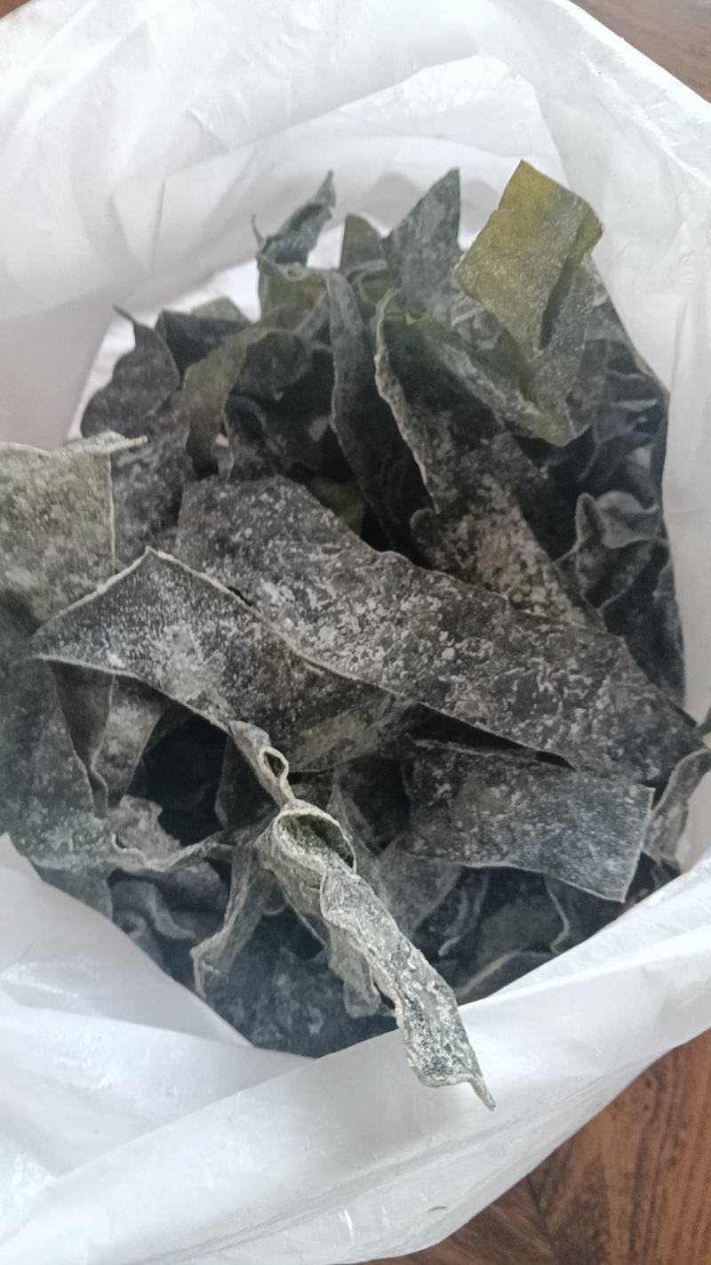 精品海带片山东海带条烘干盐渍海带片
