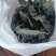 精品海带片山东海带条烘干盐渍海带片
