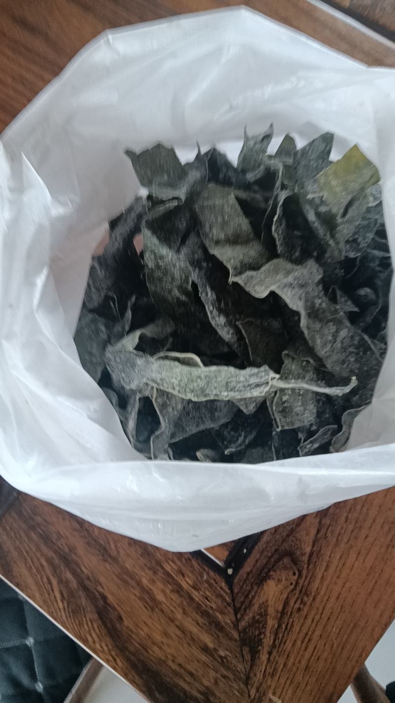 精品海带片山东海带条烘干盐渍海带片