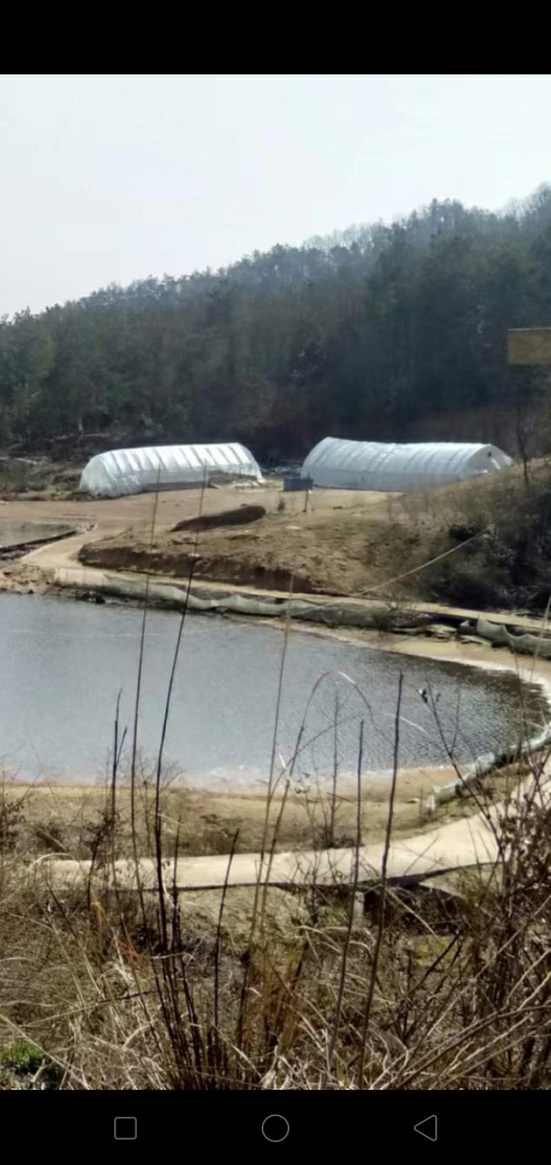 寻找合作伙伴两千亩山林养殖场地