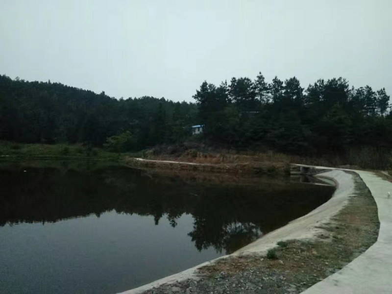 寻找合作伙伴两千亩山林养殖场地