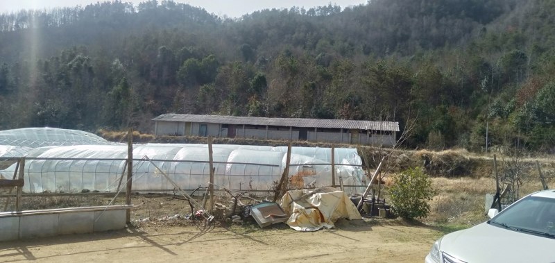 寻找合作伙伴两千亩山林养殖场地