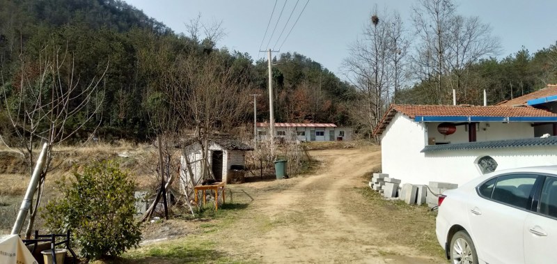 寻找合作伙伴两千亩山林养殖场地