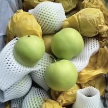 绿宝石梨，大量上市中！产地直发，价格便宜！