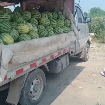 西瓜降价了