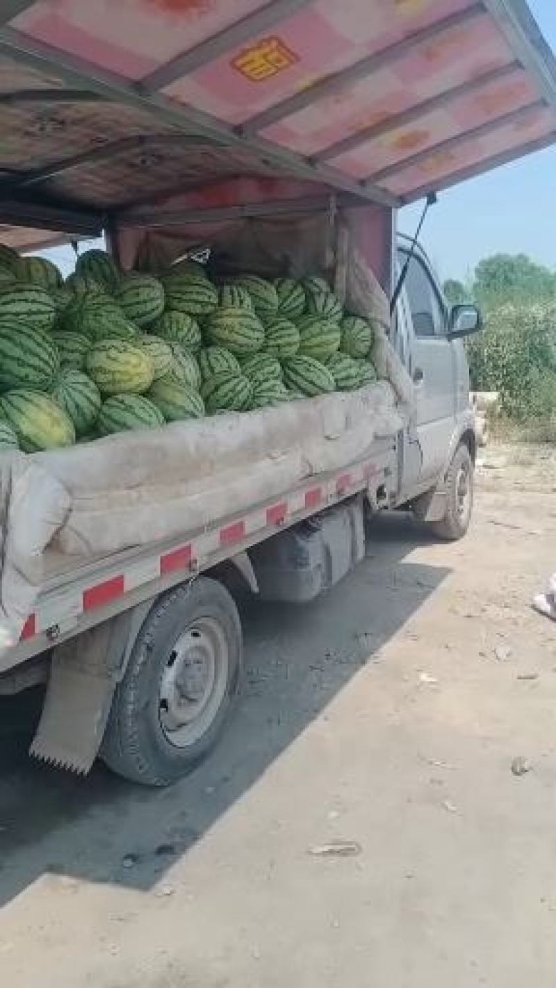西瓜降价了