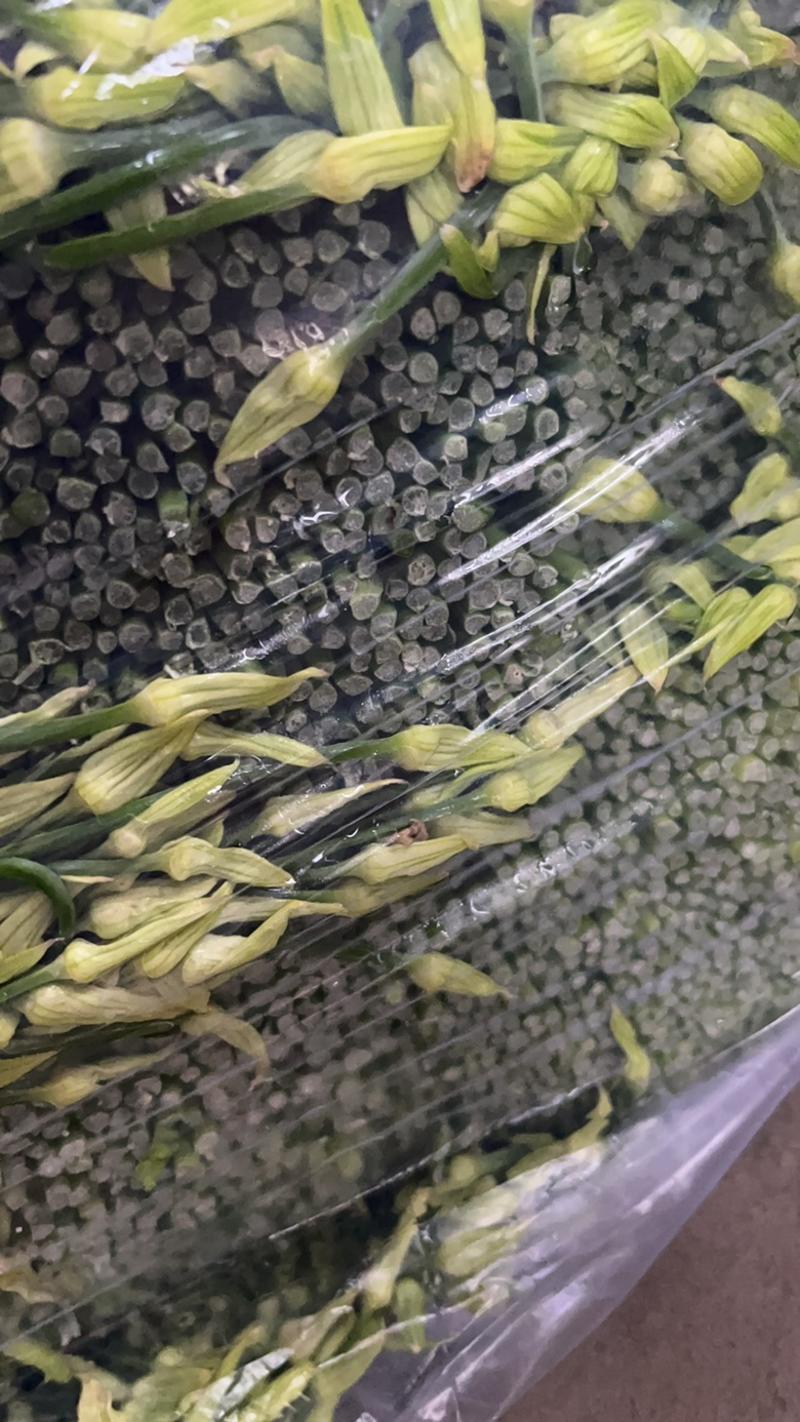 梁山精品韭苔大量上市了白跟质量好绿帽大量对接全国客商