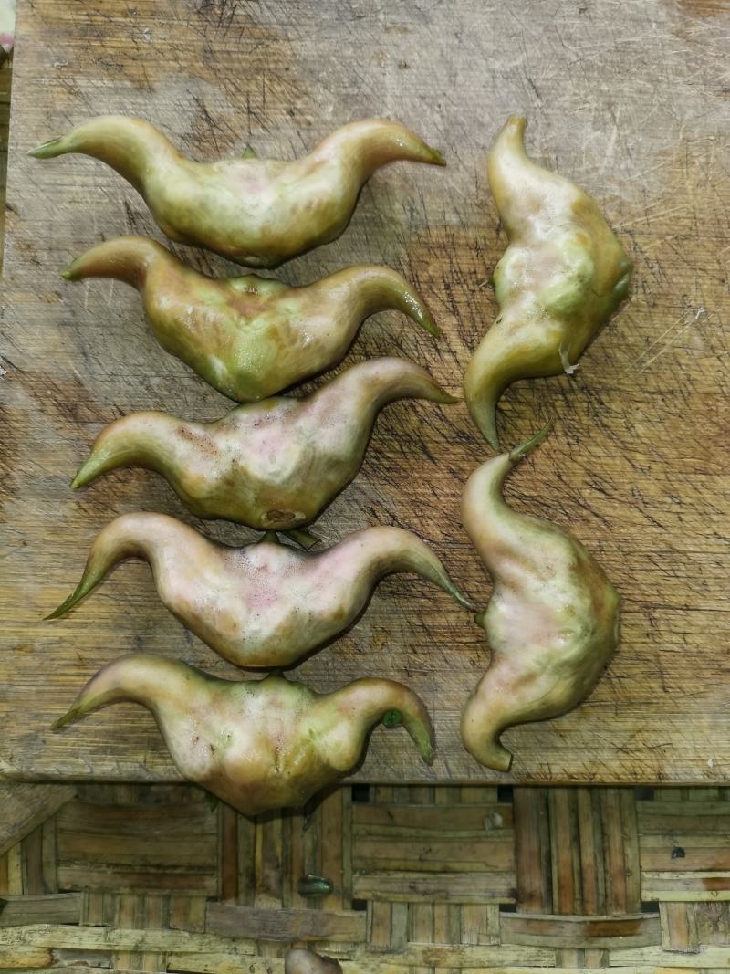 菱角自产自销