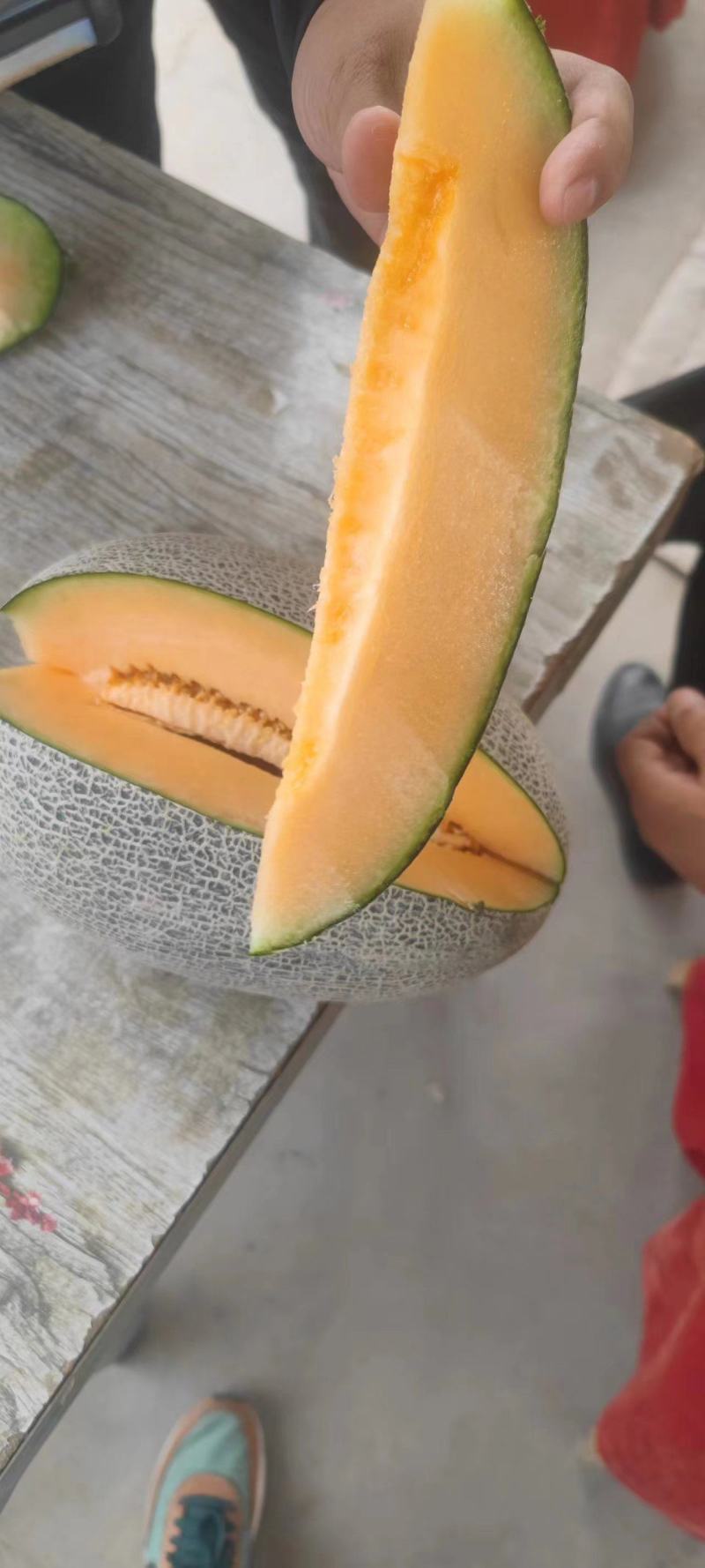 西周蜜17号哈密瓜