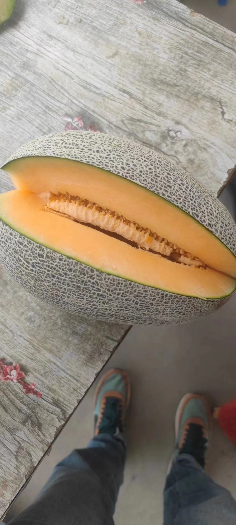 西周蜜17号哈密瓜