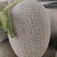 西周蜜17号哈密瓜