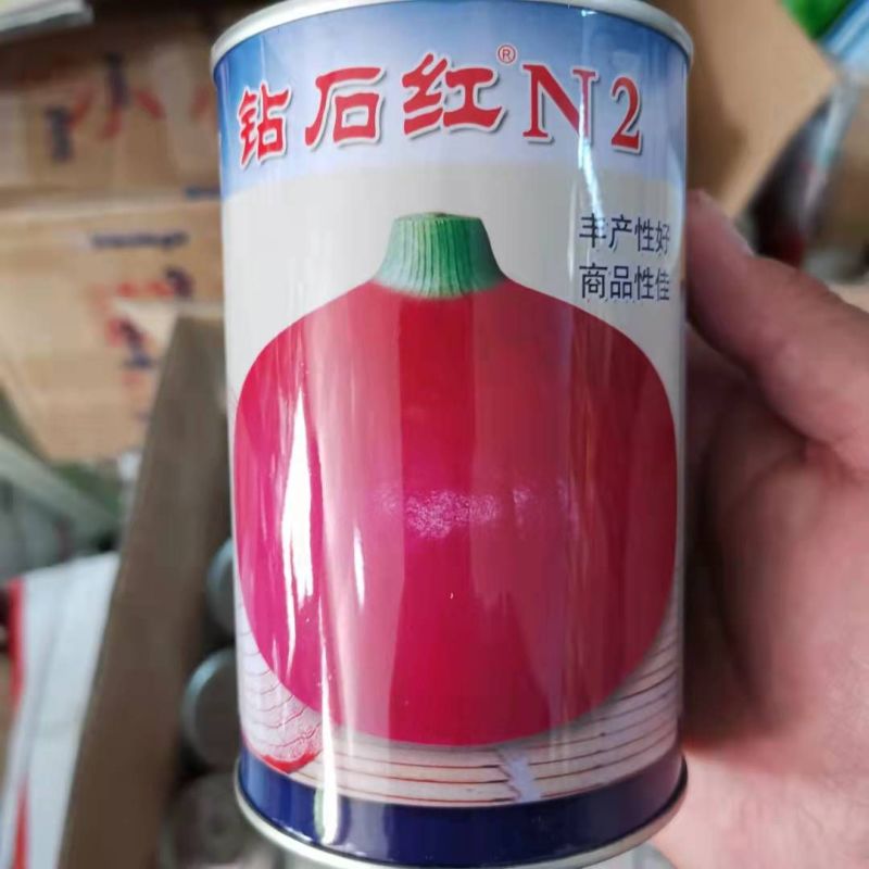 郑研钻石红N2钻石红N5钻石红N6洋葱种子