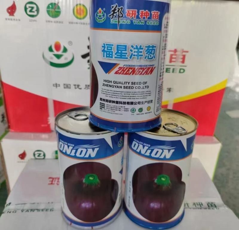 郑研钻石红N2钻石红N5钻石红N6洋葱种子