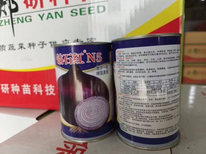 郑研钻石红N2钻石红N5钻石红N6洋葱种子