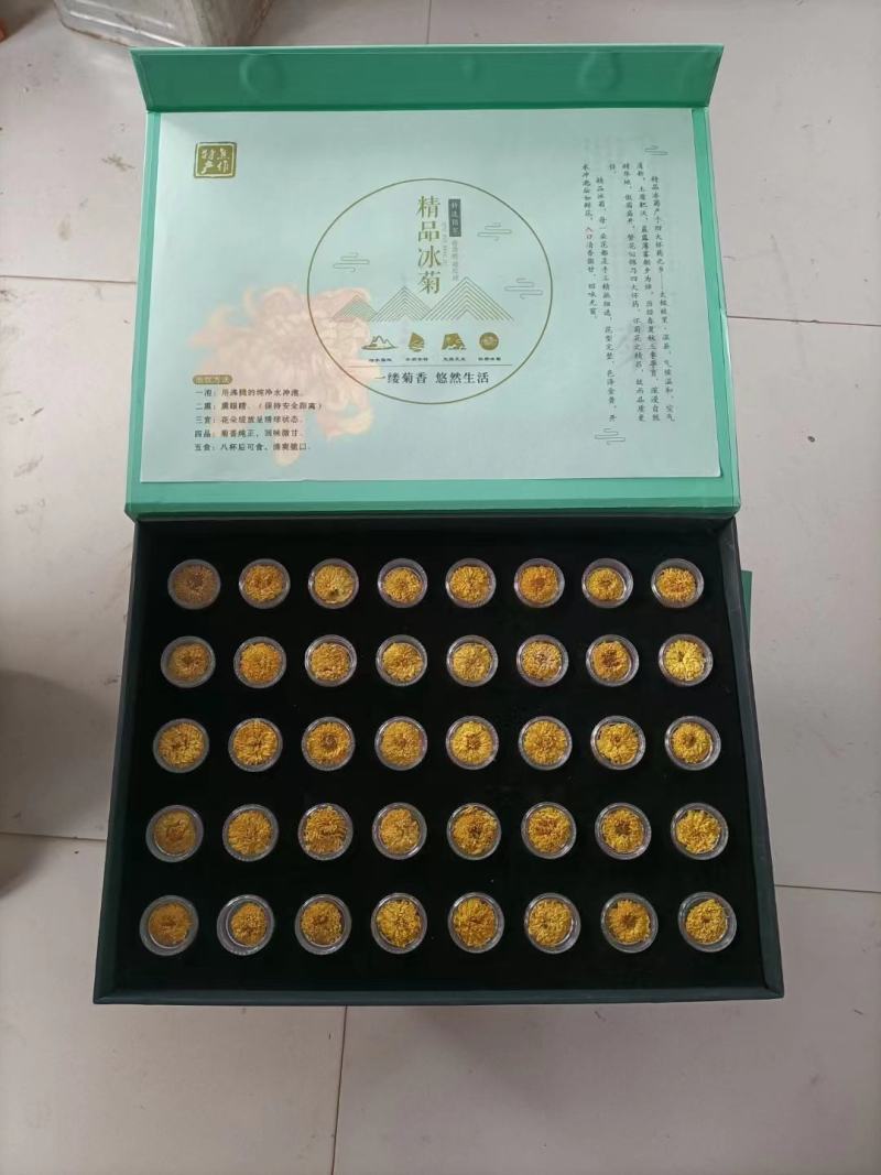 云台冰菊河南焦作怀菊正品正宗特级怀菊花怀庆府菊野生露菊