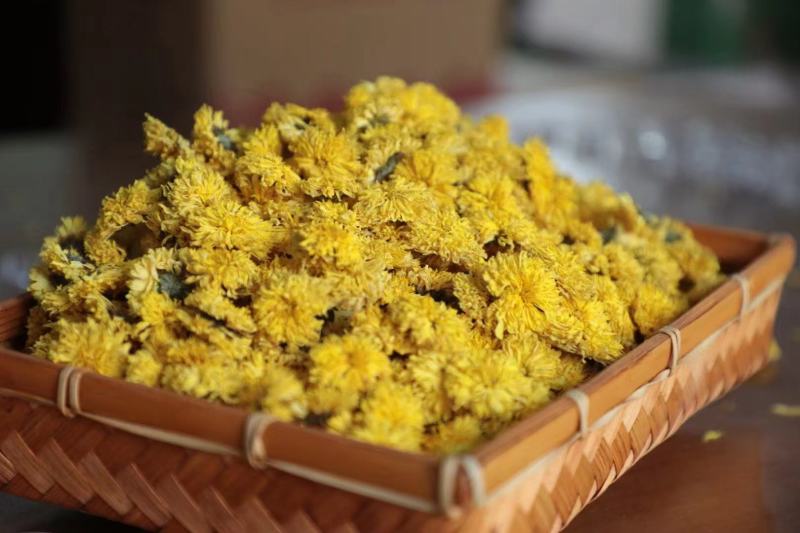 云台冰菊河南焦作怀菊正品正宗特级怀菊花怀庆府菊野生露菊