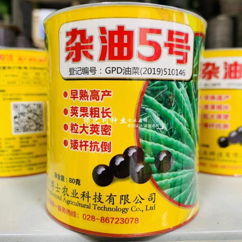 矮杆抗倒早熟高产油菜种子含油量高荚果粗长大粒油菜籽种子