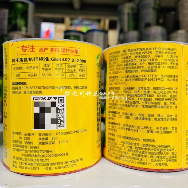 矮杆抗倒早熟高产油菜种子含油量高荚果粗长大粒油菜籽种子