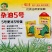 矮杆抗倒早熟高产油菜种子含油量高荚果粗长大粒油菜籽种子