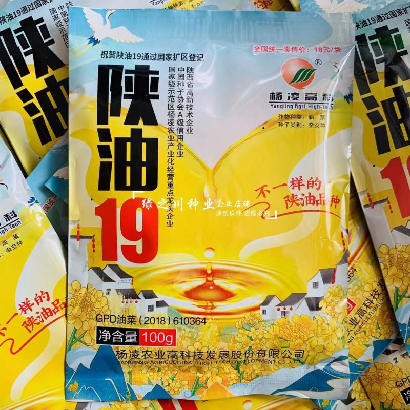 陕油19油菜种子不一样的陕油品种抗裂荚油质好油菜籽种子
