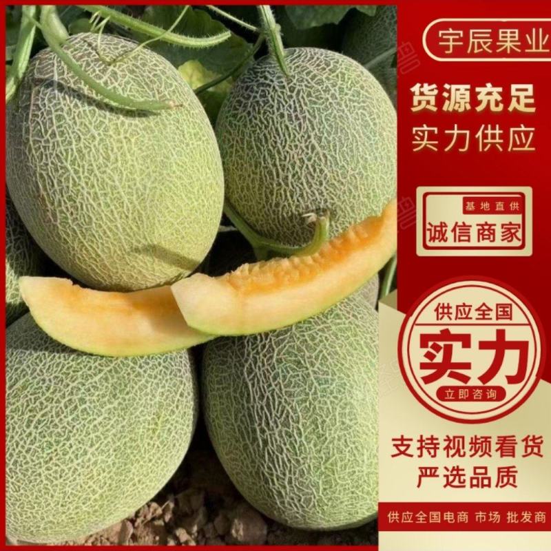 【实力】民勤哈密瓜，晓蜜25哈密瓜，基地直供可视频看货