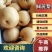 河南省圆黄梨秋月梨肉质细嫩口感香甜，保质保量代发全国