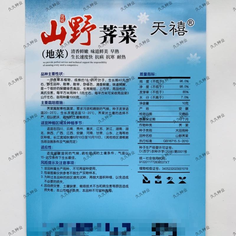 山野荠菜种子耐寒耐旱野菜养生菜种籽四季蔬菜孑农家春秋播