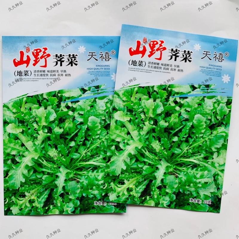 山野荠菜种子耐寒耐旱野菜养生菜种籽四季蔬菜孑农家春秋播