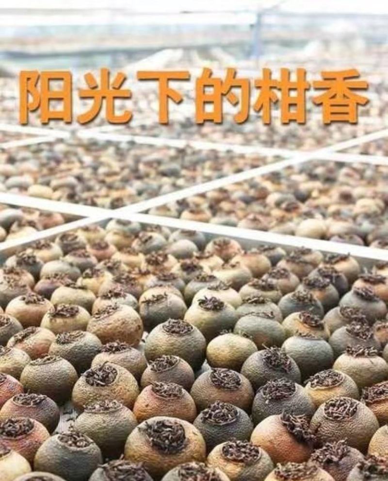 正宗新会小青柑普洱茶陈皮宫廷茶柑普茶