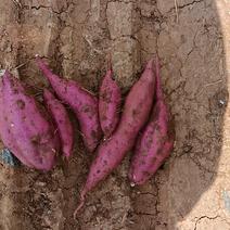 红薯云南西瓜红红薯产地直发可视频欢迎来电咨询