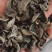 黑木耳东北大棚黑木耳黑厚小碗耳单片黑木耳