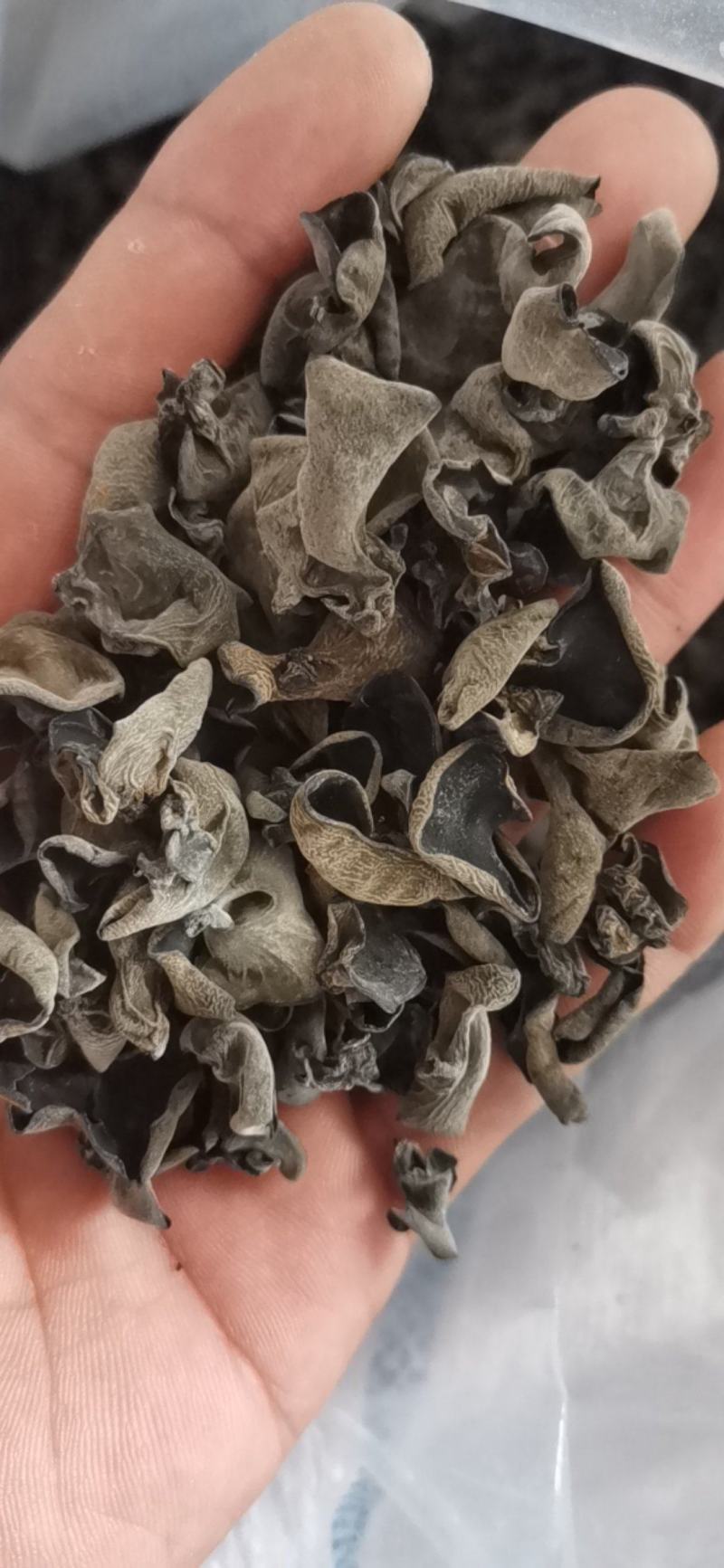黑木耳东北大棚黑木耳黑厚小碗耳单片黑木耳
