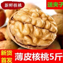 【包邮包赔】新疆特产薄皮核桃，1⃣斤起，买就送夹子！