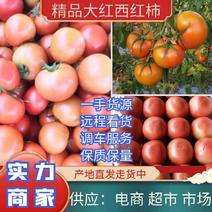 银川大红西红柿单果，光果市场电商代收大量有货