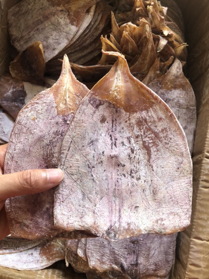 鱿鱼干花