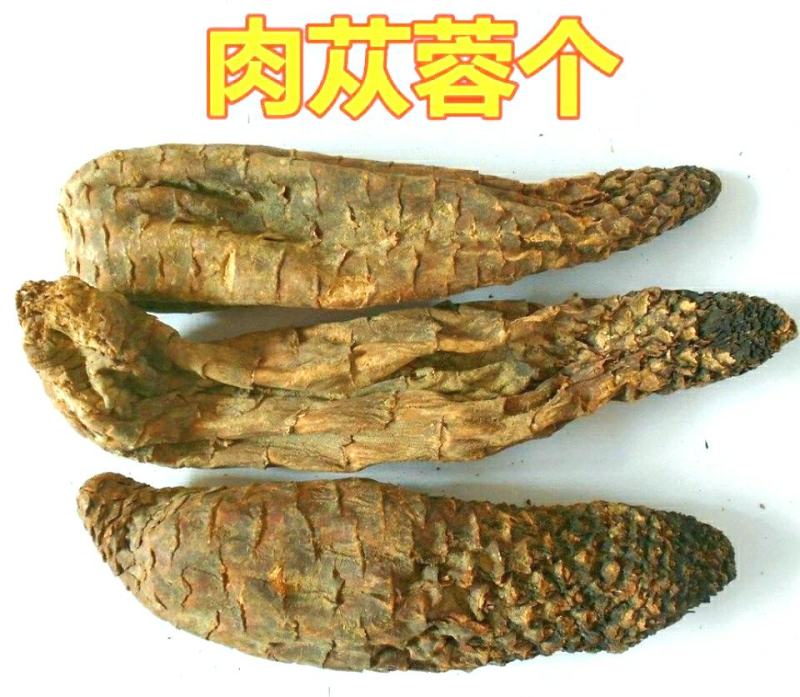 新疆野生肉苁蓉名贵中药材男人泡酒泡茶营养滋补