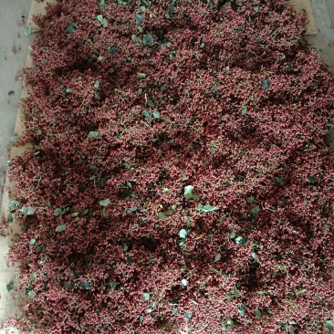 大红袍花椒