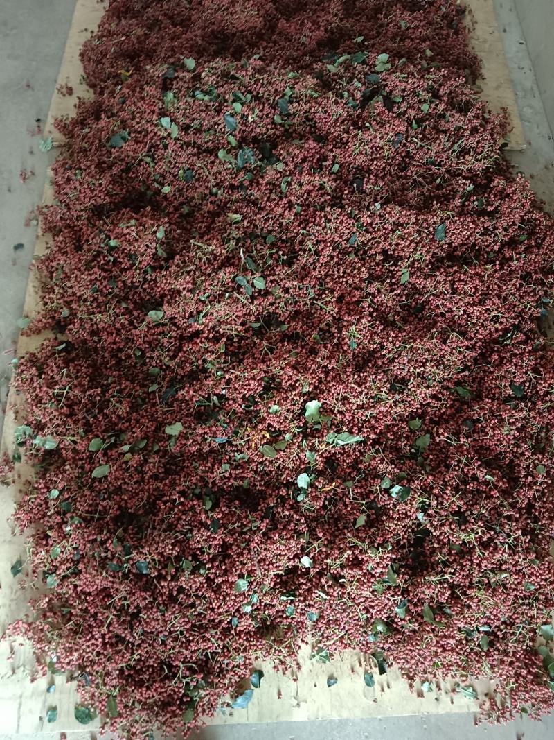 大红袍花椒