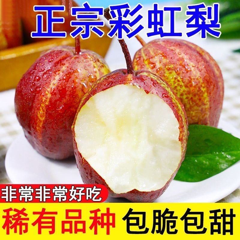 彩虹梨早香酥支持一件代发落地配市场专业对接电商价格便