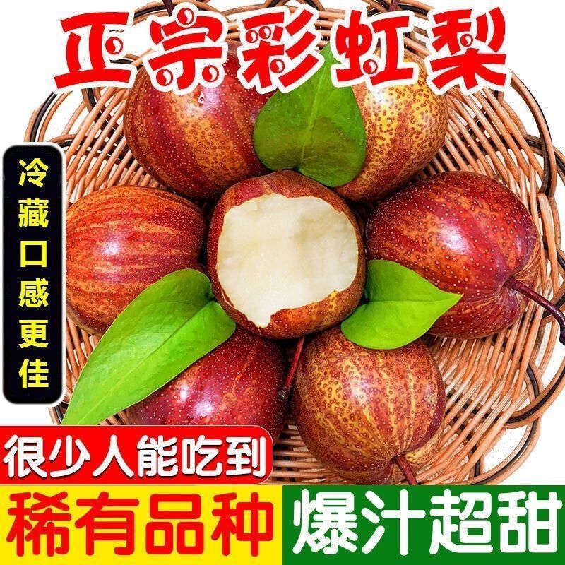 彩虹梨早香酥支持一件代发落地配市场专业对接电商价格便