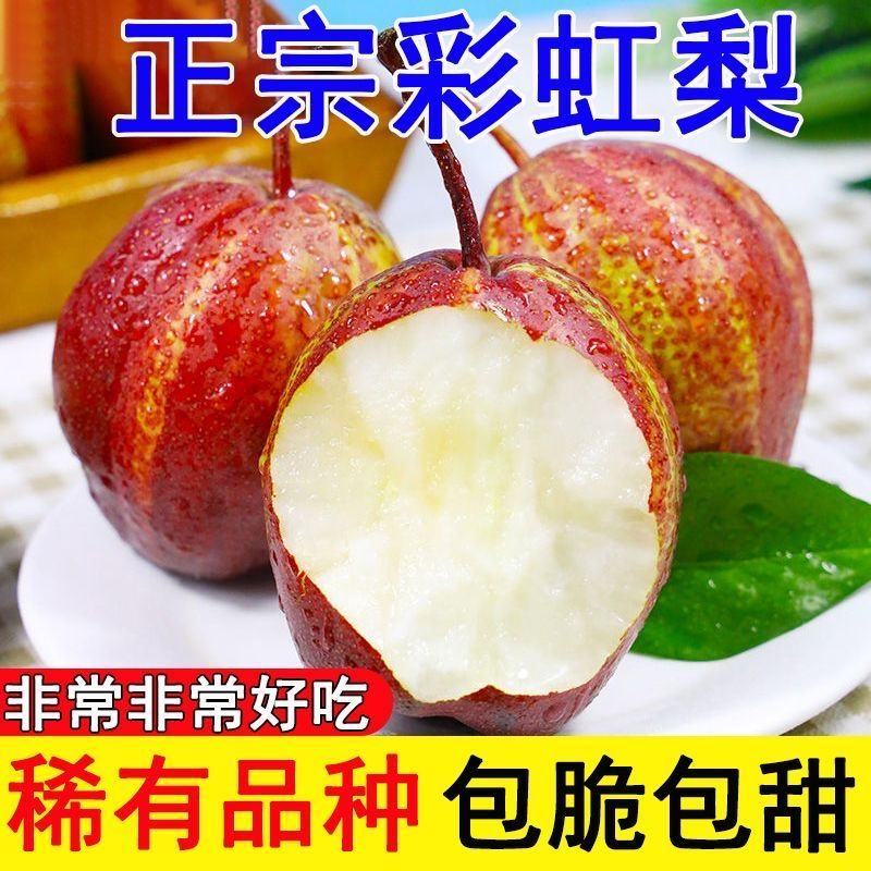 彩虹梨早香酥支持一件代发落地配市场专业对接电商价格便